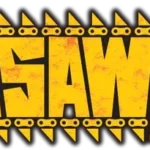 Chainsaw Man Power and Denji SSR Rare Holographic Card AnimeCardWorld